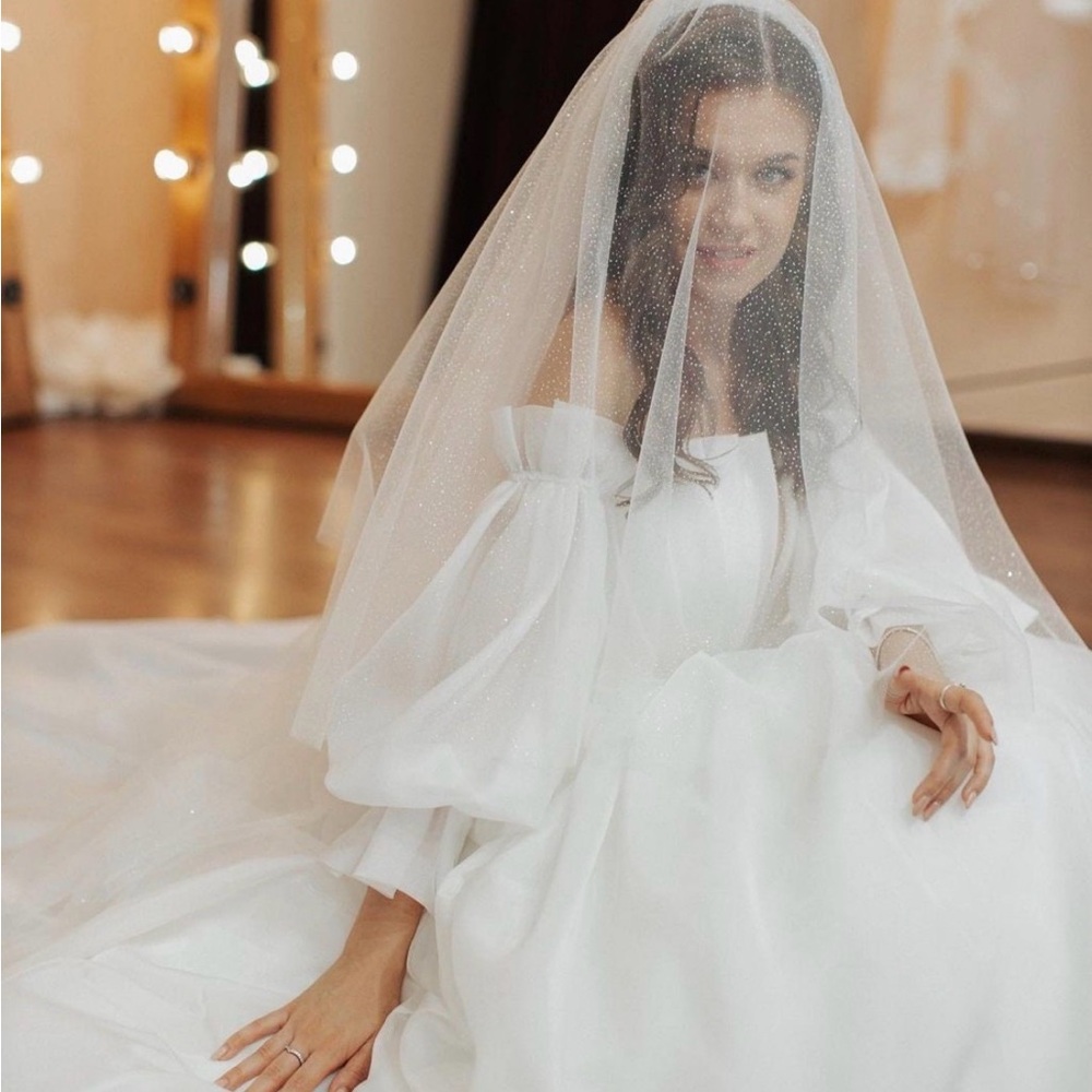 Sparkling Sheer Bridal Train Veil in Ivory - Picture 3 of 5